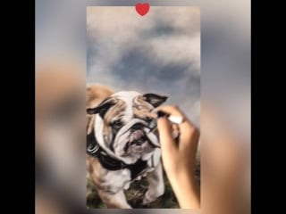 Butch | victoria kramorova