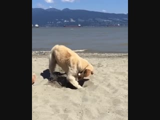 Break's over what was i doing again ? oh yeah, derp digging!