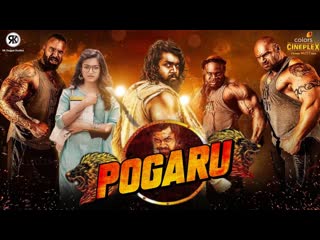 Pogaru latest hindi dubbed blockbuster