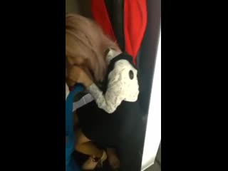 Молодые сосет хуй своему парню в