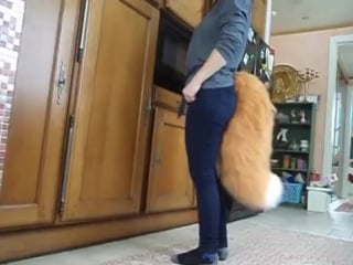 How to make a foxtail (tutorial)