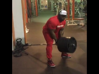 Ifbbproakimwilliams finishing of with some heavy t bar rows