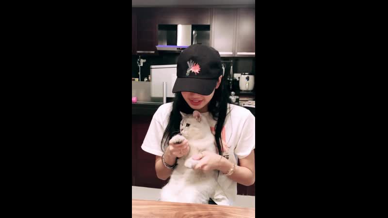 Тиба лука дэнсит