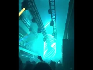 Nico moreno purple widow [amelie lens x printworks london]