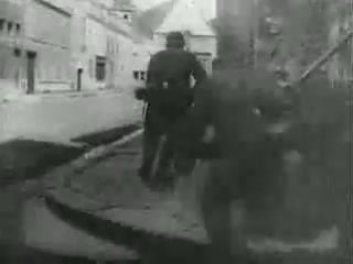 Stahlgewitter auf das der adler wieder fliegt