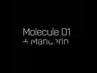 Molecule 01 + mandarine escentric molecules