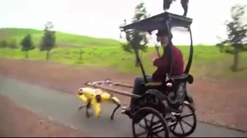Целевое использование робота от boston dynamics