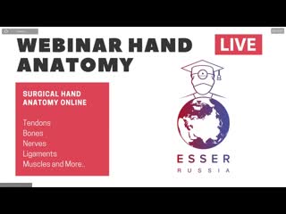 Hand surgery video 1 introduction, lectures extensor flexor tendon anatomy, nerve in upper extremity