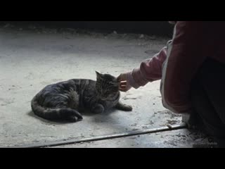 The walking молодые 10x15 lydia and judith opening sc(720p hd) mp4