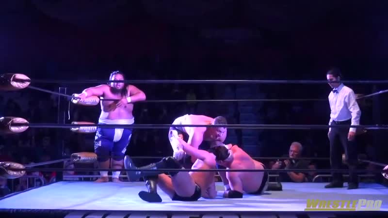 Wrestlepro no holds barred