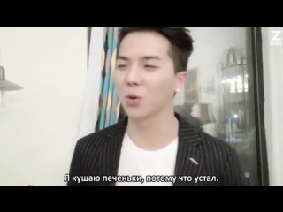 Я кушаю печеньки