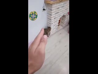 Snaptik 6933160624356723969 alexander zhdanov mp4