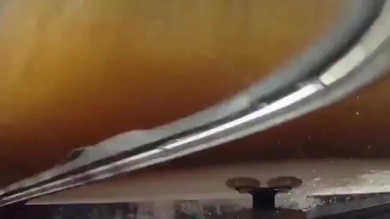 Плывут в машине к берегу