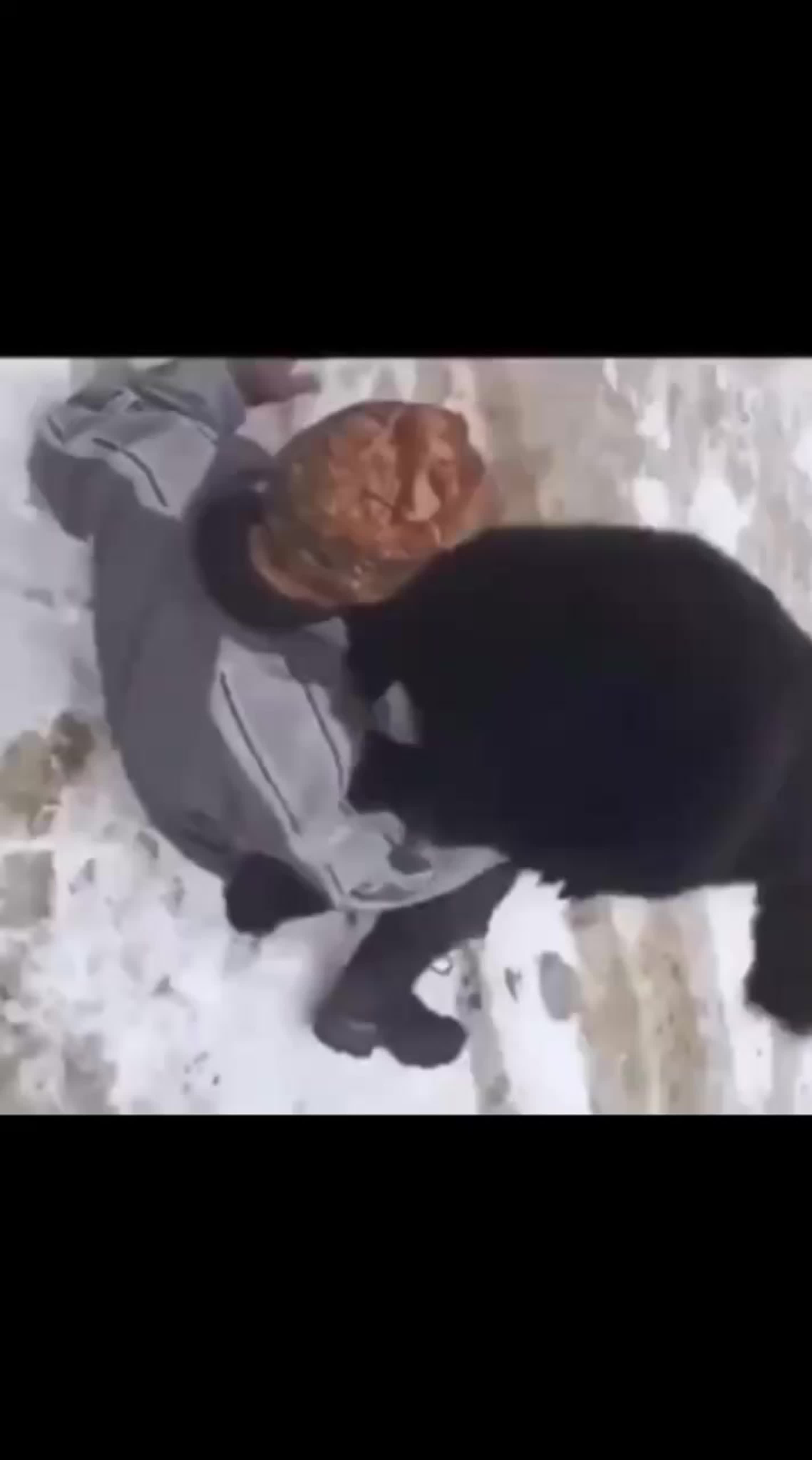 Ты че меня выебать решил а? watch online