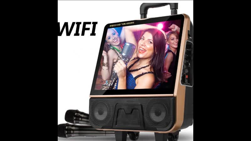 Pokpro портативная уличная калонка для караоке
