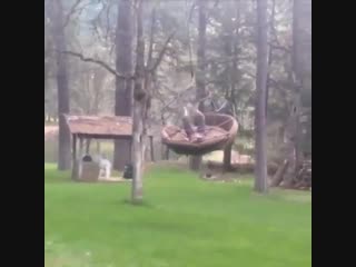 Hanging lounger swing