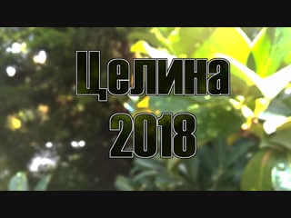 Отчет целины 2018