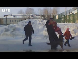 Собака набросилась на двух маленьких детей в новосибирске