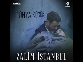 Отрывок «жестокий стамбул»;
