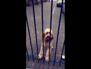 “someone’s happy 😝” eleanor via snapchat (eleanorsnap)