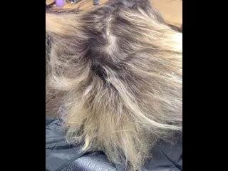 Ivan topbarber 20200520 1 mp4