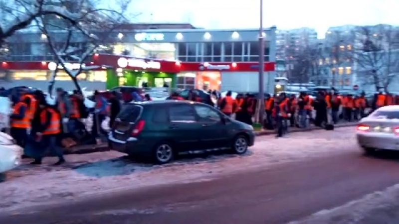 Как размножаются дворники