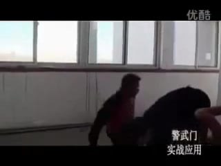 Chinese police hapkido self defence