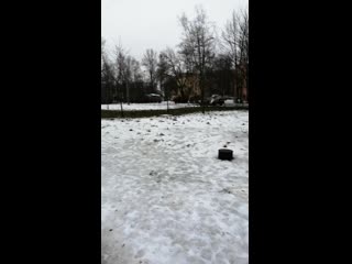 Vid 20210101 104146 mp4