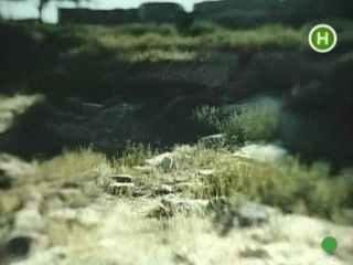 Золоте стремено фільм 4 дике поле (1993)