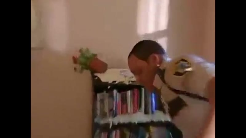 Поимка молодые