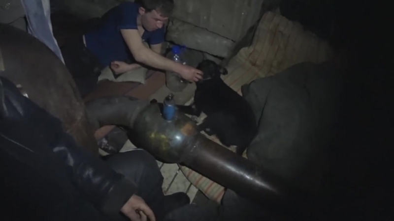 Обзор жилища сереги | крысы, бомжихи и тараканы