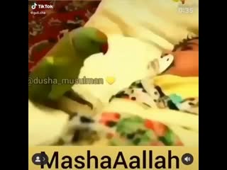 Img 20201220 123901 mp4