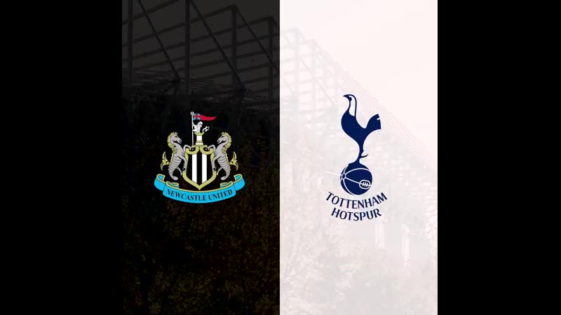 | «ньюкасл юнайтед» «тоттенхэм хотспур» | превью