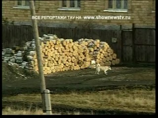 Тау ребёнок убит компьютерной «стрелялкой»