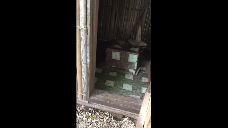 Сюрприз в деревенском туалете