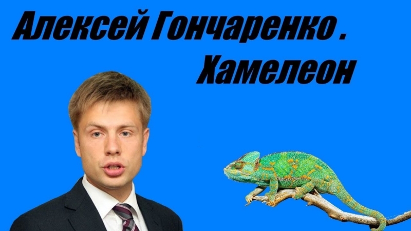 Хамелеон алексей гончаренко
