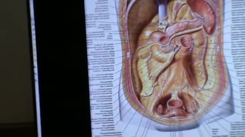 Модуль porn video – 4 модуль, семинар 6(висцеральная сфера)день 2, ч 12