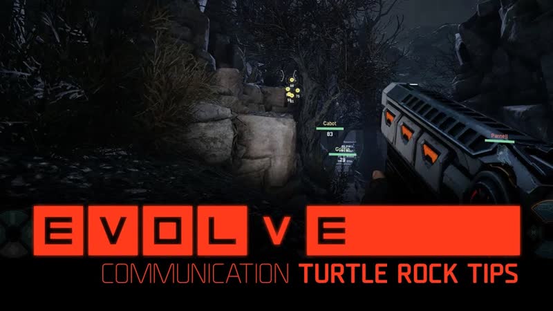 Evolve коммуникация