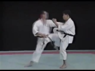 Seiji nishimura best karate punch techniques