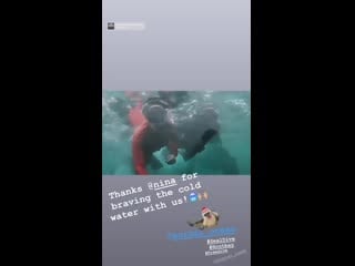 Tanya van graan on instagram stories