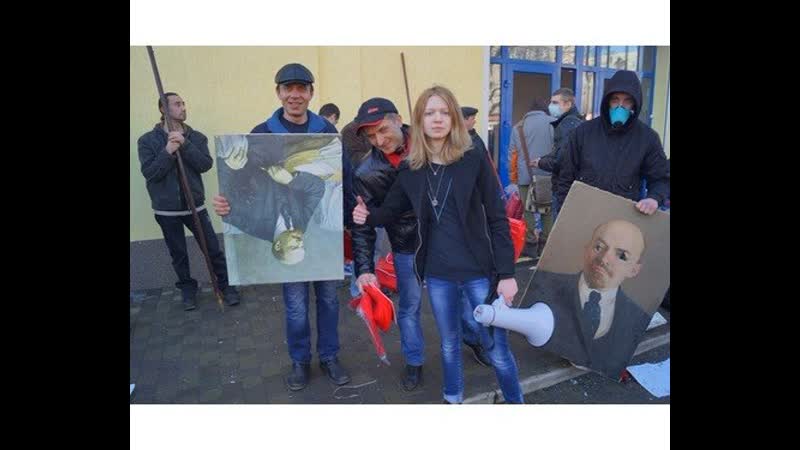 Вита заверуха с петухами в намордниках ворвались в фирму