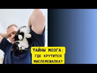 Тайны нашего мозга мыслемешалка