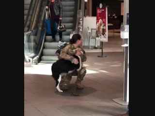 Us army soldier who had been deployed for a year gets welcomed home by her dog