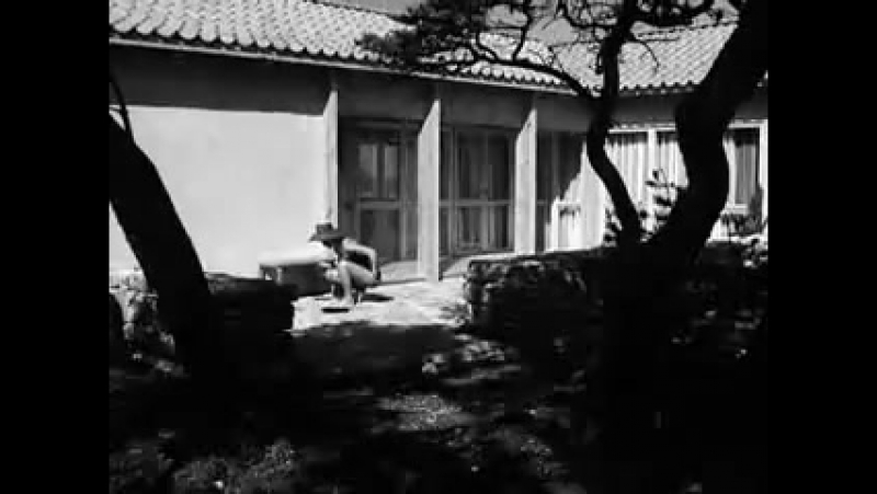 1966 porn video – Персона / persona (1966)