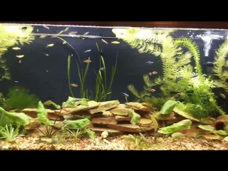 Video 20180329 204025 mp4