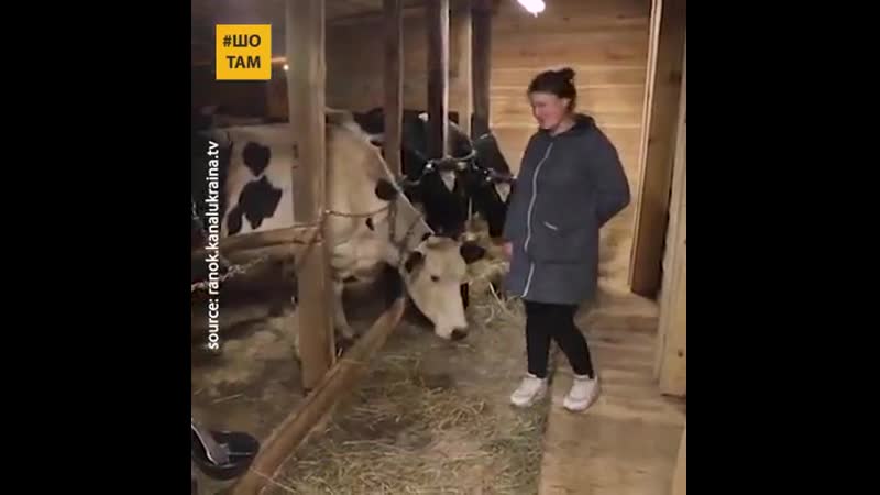 Ця жінка ангела меркель із заболотців із власного села вона зробила маленьку німеччину!