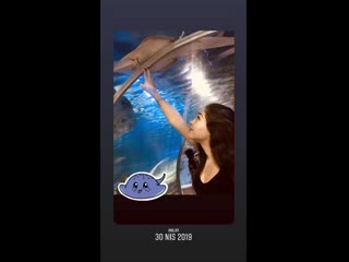 Cemrebaysel porn videos - BEST XXX TUBE