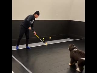 And lastly, a bonus nationalpuppyday training session with connor lenny @cmcdavid97 letsgooilers