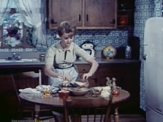 The 1950's thrifty wife