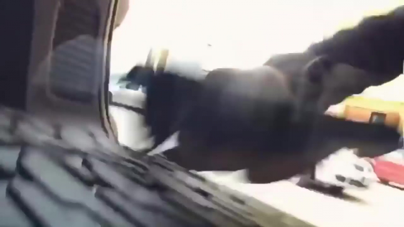 +18 в епифанцев по жесткому